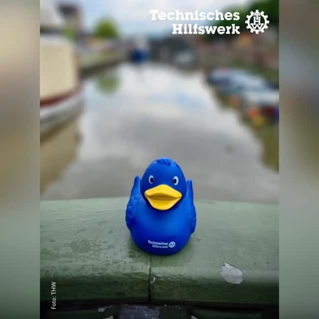 Ente gut, alles gut Wenn alle Entchen baden gehen...